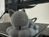 Cat Sleeping-2