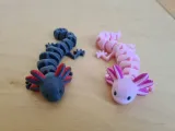 Axolotl Articolato (Multicolore)-1