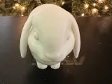 ロップイヤー-1