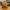 Gummiente - Wukong-Modell - 3D-Druck