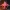 Kindred Wolf Maske FREE STL-Dateien