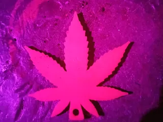 Weed Keychain 420
