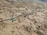 Fixed bracket for watering nozzle-2