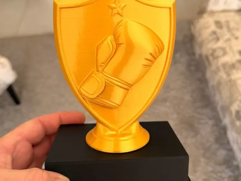 Boxing or Fighting Award Trophy / Shield