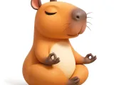 capybara zen-0