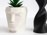 Yüz Fadeli Saksı-0