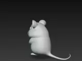 hamster-1