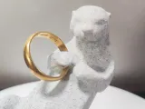 Otter Ring Holder-1