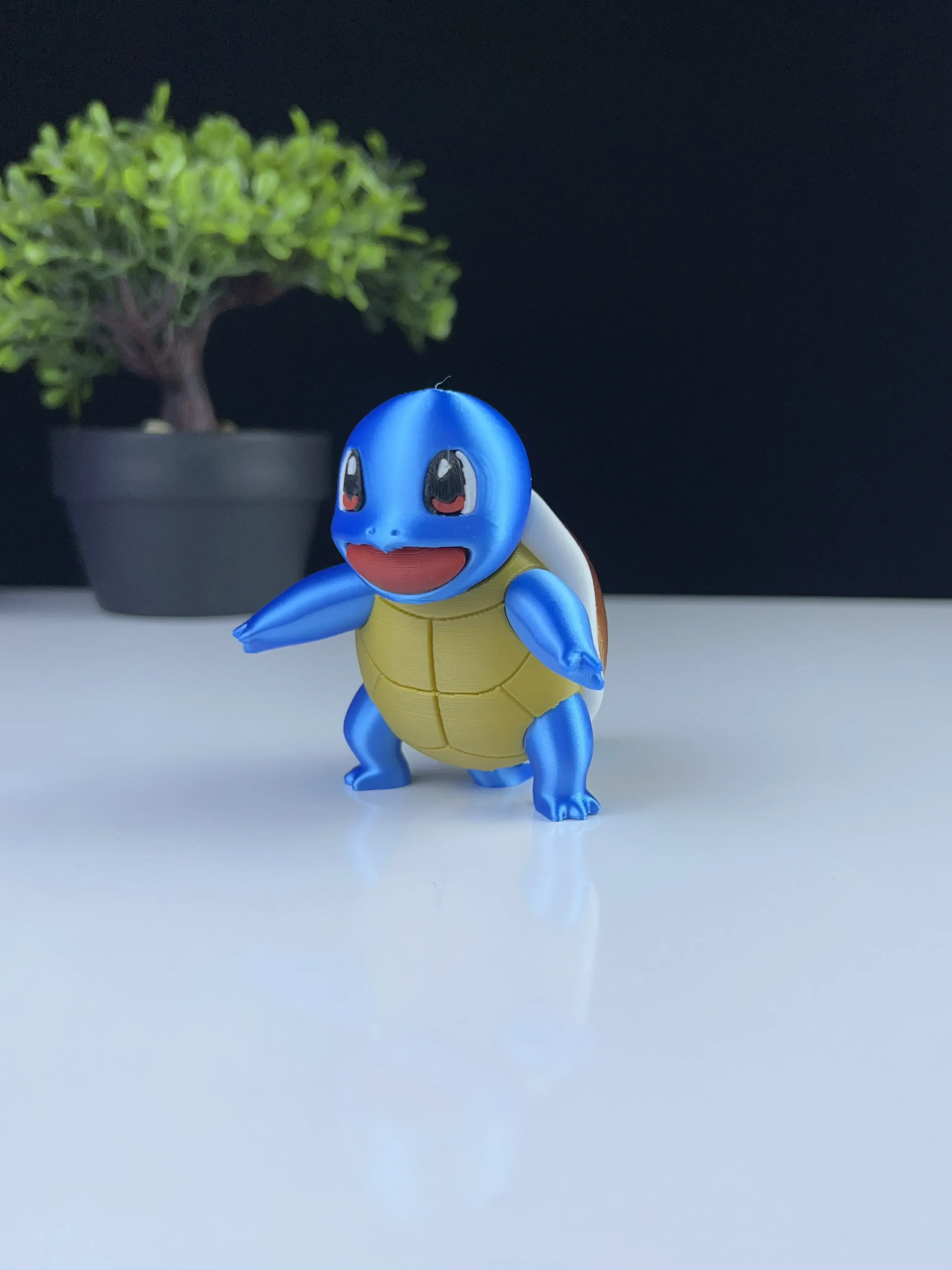 Squirtle - Multicolor