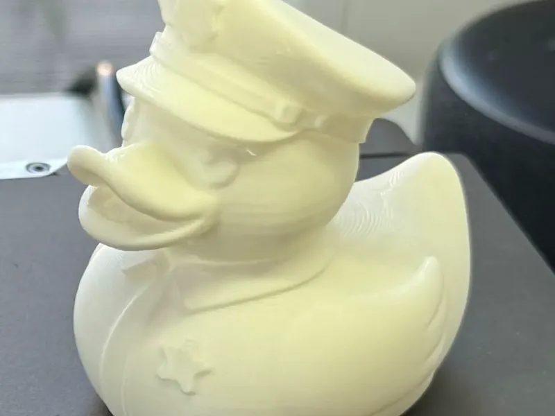 Duck Police