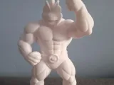 machamp color-1