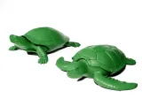 Turtles 2-1