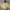 Koopa Troopa - High Detail Nintendo Fan Art Figure