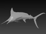 print ready realistic swordfish model-2