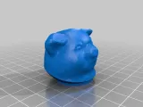  Pig Pill Box -4
