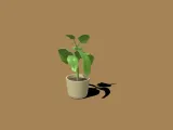 planta-3
