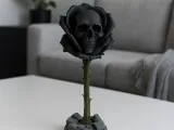 禁断の薔薇 / スカルヘッドの薔薇と茎-1