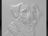 dog-0