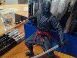 ninja furtivo-1
