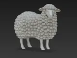 sheep-1