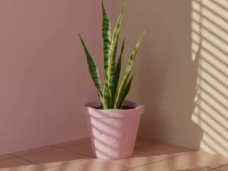 Maceta Cute Pot plant