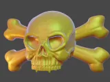Skull Pirate Big Handle Door -2