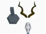 Mini Kudu Skull-2