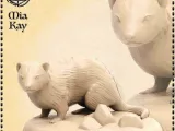 Ferret Casual-0