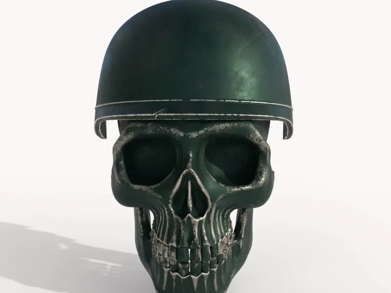 Army Skull Wall