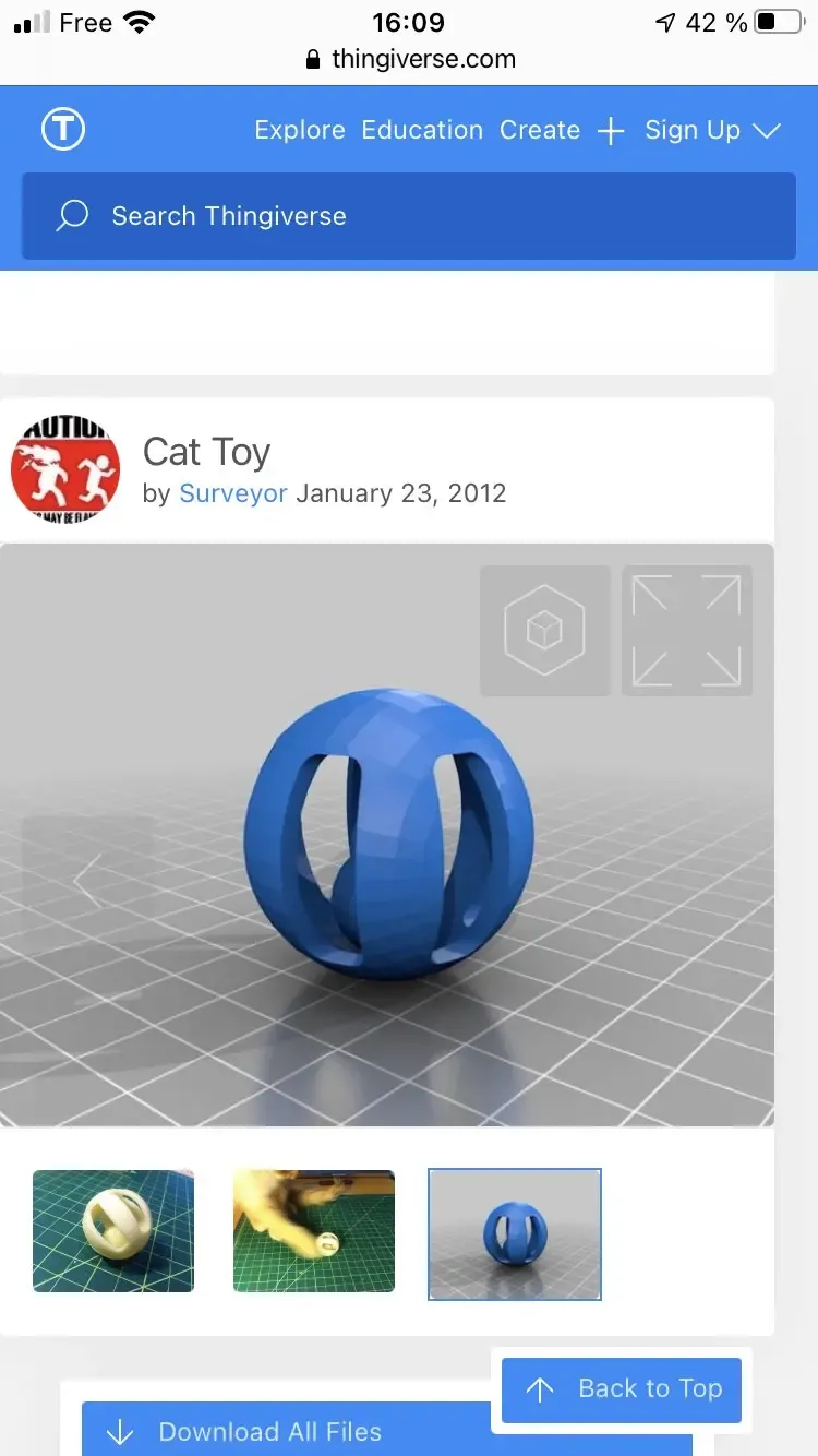 Balle chat