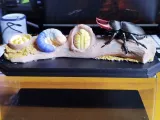 Stag Beetle Life Cycle – Educational Model-3