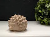 Low Poly Sleeping Hedgehog-8