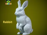 Rabbit rex model urban vibes-1
