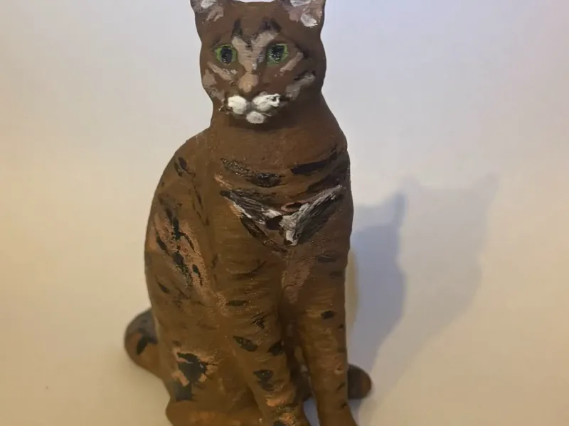 cat
