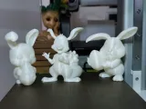 Happy Bunny-1