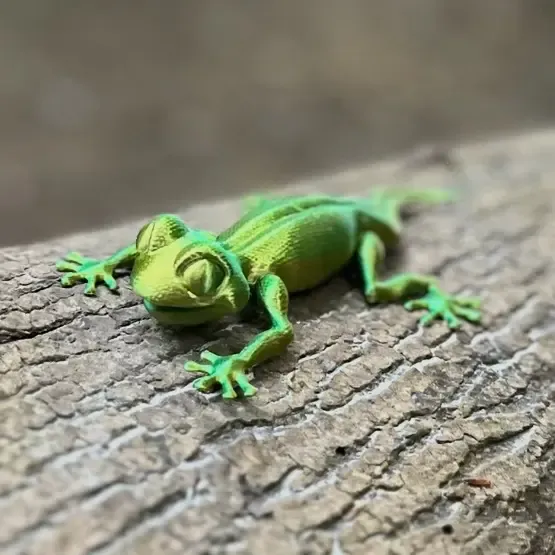 Gecko 3D Model