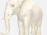 Elephant -3