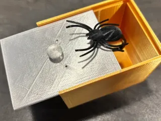 spider box prank