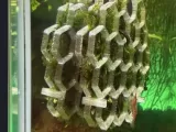 hexagon gitter -1