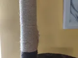 cat tree stems-1