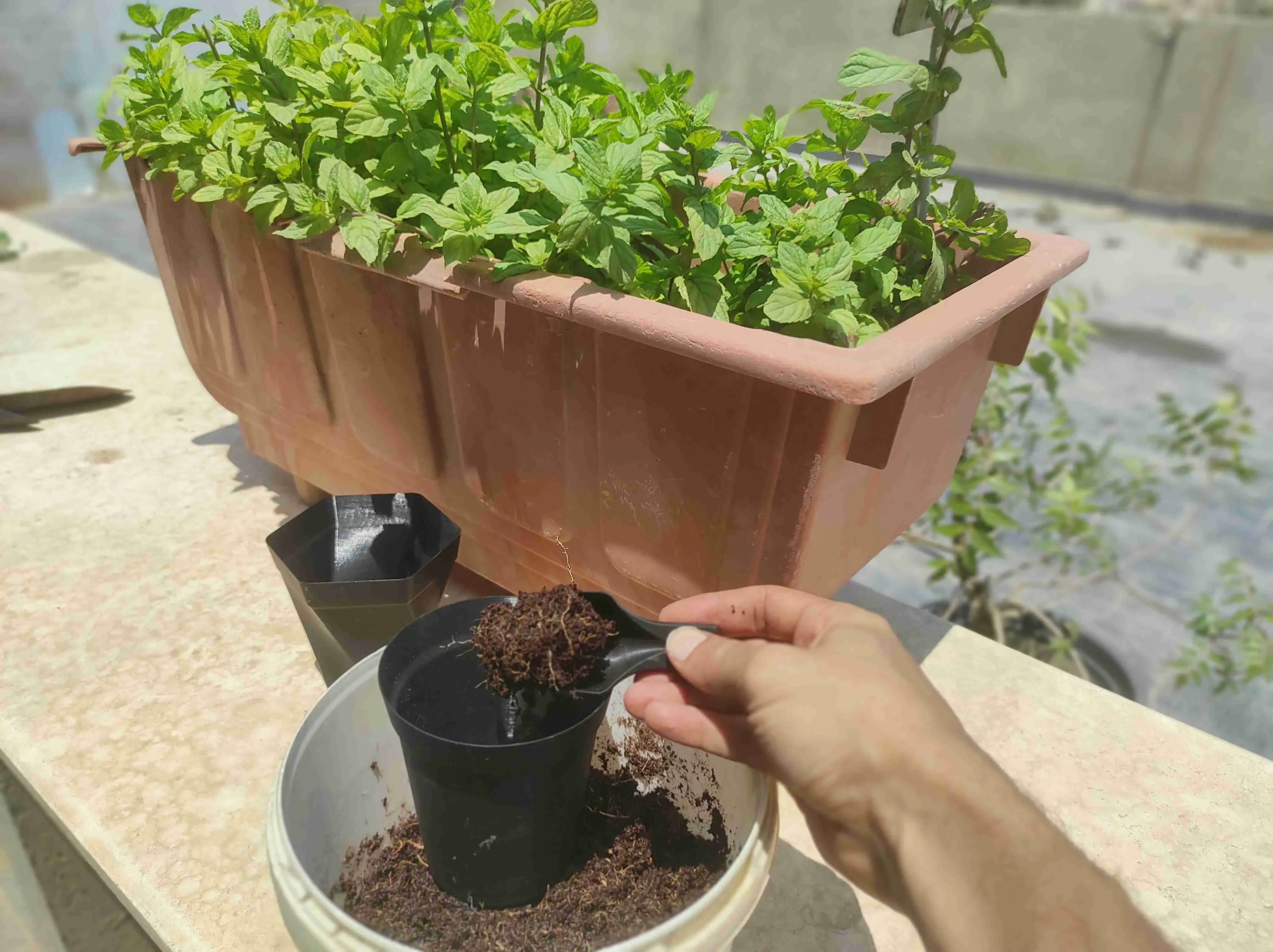Plant Pot Vasemode