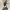 Angus Young by Aza