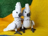 Cockatoo Articulated Figure-9