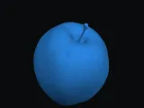 contest apple-1