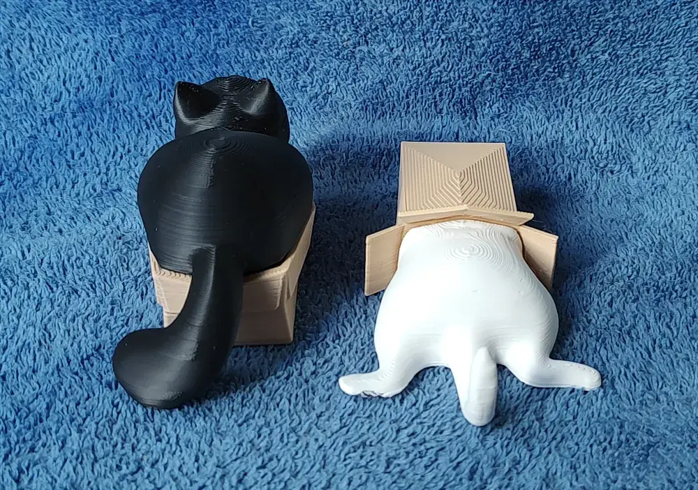 Cats in Boxes
