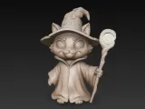 Wizard Cat-1