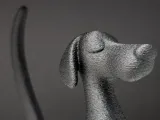 Cane Elegante-8