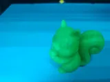 Cute Squirrel-2