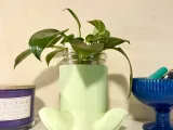 Frog Planter-4