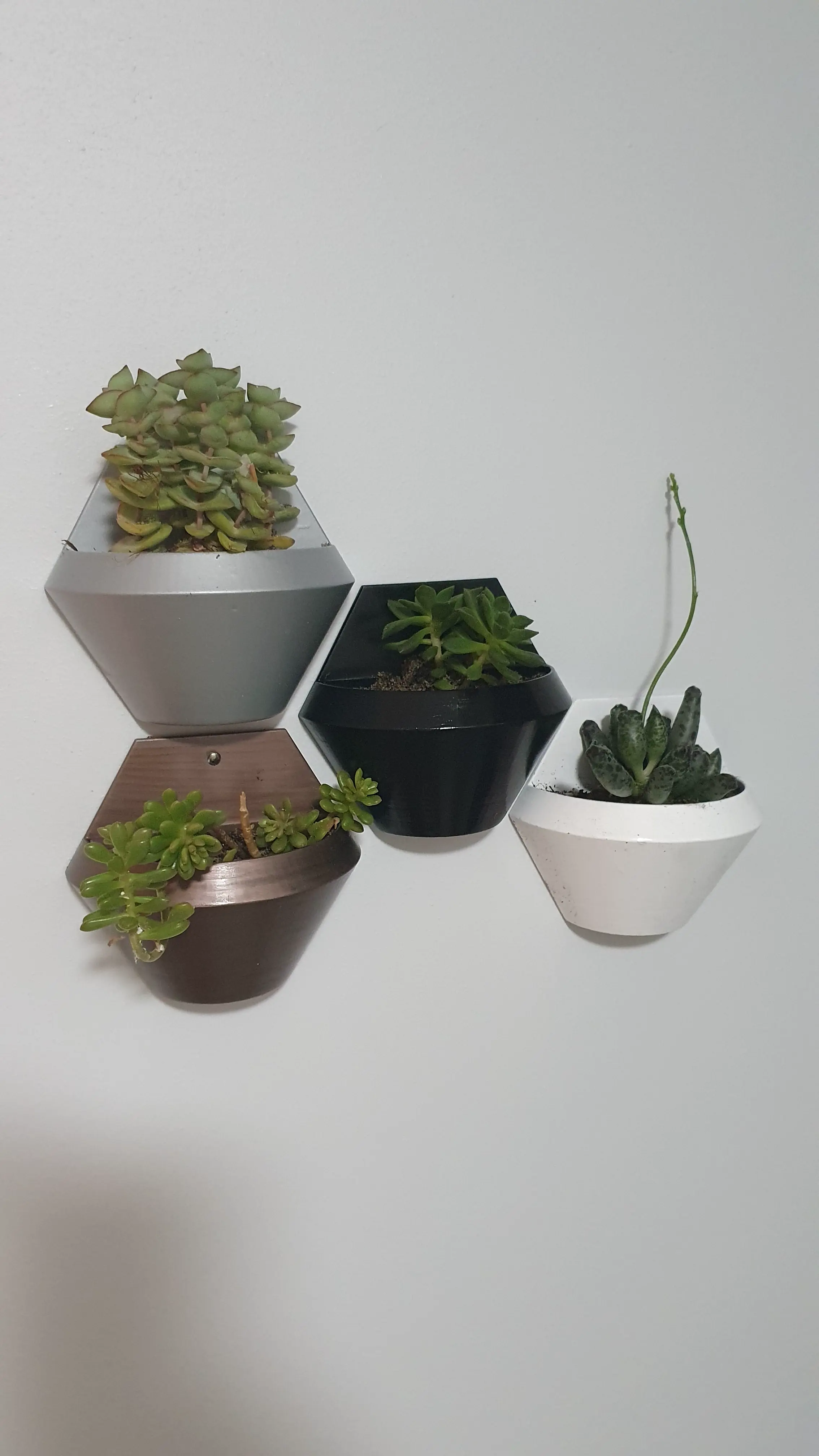 Hexagon Wall Planter V2